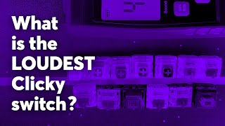 What is the LOUDEST Clicky Switch  14 Clicky Switches Noise RANKING [upl. by Aiuqes640]