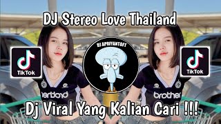 DJ STEREO LOVE THAILAND VIRAL TIK TOK TERBARU 2024 [upl. by Elvie]