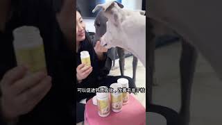 Yan Chong Shi deep sea fish oil for general beautification of fur tubes for cats and dogs Sharing [upl. by Sosanna]