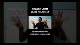 BIOLOGÍA UNAMCILIOS Y FLAGELOS vamospor120 admisionunam examenunam universidad flagelo cilios [upl. by Enoval650]