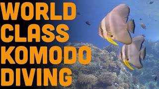 World Class Diving in Komodo National Park [upl. by Assitruc]