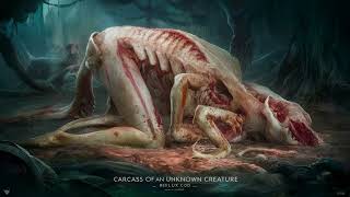 Pathfinder  Chapter 2  Carcass of an Unknown Creature [upl. by Marfe]