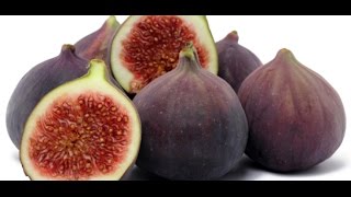 HOW TO GROW FIGS IN A CONTAINER OR POT [upl. by Andrews496]