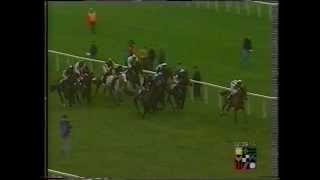 1996 AIG Europe Champion Hurdle [upl. by Ayn]