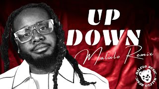 TPAIN  UP DOWN Do This All Day MALULO REMIX [upl. by Selassie]