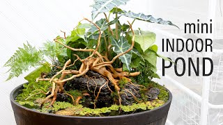 INCREDIBLE Mini Indoor DIY Pond Patio Pond [upl. by Nolahc]