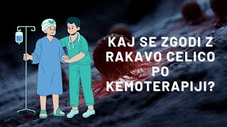 Kaj se zgodi z rakavo celico po kemoterapiji Maria Ana Kolman [upl. by Dean273]