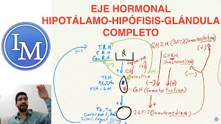 Fisiología Shahroj  Endocrinología  Eje Hipotálamo Hipófisis Glándula [upl. by Tennos]