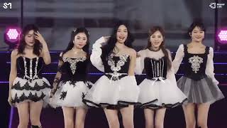 RED VELVET Feel My Rhythm perform at SMTOWN LIVE 2024 JAPAN redvelevet feelmyrhythm performance [upl. by Eeloj337]