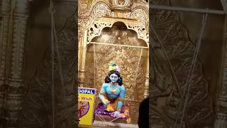 ভোরের নগর কীর্তন💞🙏vorer Najar kirtan  হরে কৃষ্ণ হরে রাম মধুমাখাহরিনাম trending [upl. by Hodess]