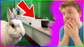 I BOUGHT MY BUNNY A NEW HOUSE AND HER REACTION WAS PRICELESS [upl. by Prober]