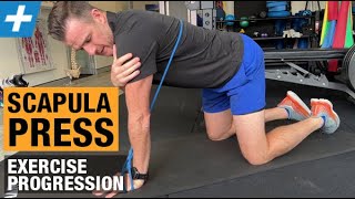 Scapula Press Exercise Progression for Serratus Anterior and Winging  Tim Keeley  Physio REHAB [upl. by Labors863]