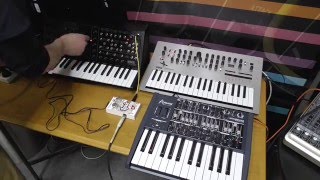 Stomping On Synths Digitech Luxe  KORG MS20 Mini [upl. by Luedtke340]