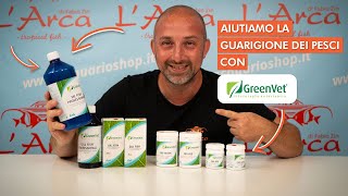 Alla scoperta di Greenvet come migliorare il benessere dei pesci [upl. by Topliffe]