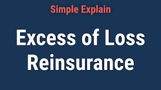 What Is Excess of Loss Reinsurance [upl. by Onailime]