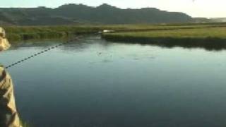 Dry Fly Fishing Silver Creek Idaho Brown Drakes [upl. by Erdnaxela511]