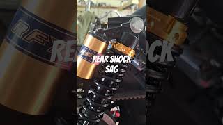 Is Cafe Racer Sportster Rear Shock Sag Ruining Your Ride [upl. by Enorej]