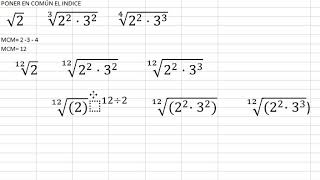 Poner a común el indice de los radicales [upl. by Gavrielle774]