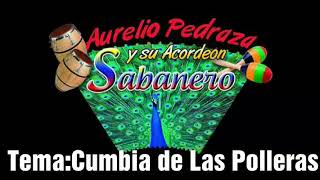 Aurelio Pedraza y su Acordeon Sabanero TemaCumbia de las Polleras [upl. by Oer]