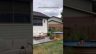 This stock tank pool has gotten so much use this summer stocktankpool backyard diyprojects pool [upl. by Odlo]