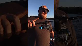 One of the BEST TECHNIQUES for FALL WALLEYES Walleye walleyefishing fishing shorts [upl. by Kidder]