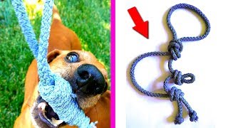 DIY  VERY SIMPLE toy for dogs from the rope  Nika crafts [upl. by Yenobe]