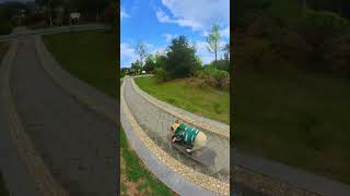 The dog and the owner play skateboard together so cool funny dog pets [upl. by Nosde]