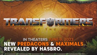 Transformers Rise Of The Beasts REVEAL  NEW Predacons amp Maximals [upl. by Bobbette]