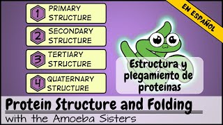 Estructura y plegamiento de proteínas [upl. by Anselme208]