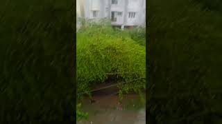 chennai omr started water logging chennai omr redalert rain [upl. by Nosretep]