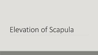 Elevation of Scapula [upl. by Alrats]