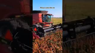 Experience a prosperous autumn harvest with Case harvesters agricultural machinery video [upl. by Eiramrebma]