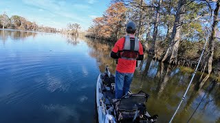 Bass Fishing With Ultralight Setup [upl. by Edwyna]