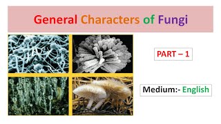 General Characters of Fungi Part1 English [upl. by Pavlish]