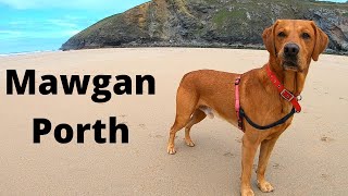 Dog Friendly Campsite Cornwall  MAWGAN PORTH  Sun Haven Valley Campsite [upl. by Anelah]