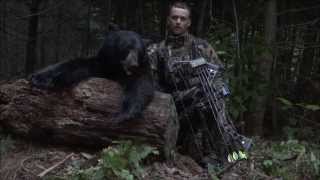 Two Successful UP Michigan Bear Hunts With a Bow [upl. by Diane442]