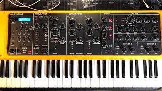 Studiologic Sledge 20 Synthesizer  Let’s Play amp Explore  Live Demo [upl. by Atterbury]