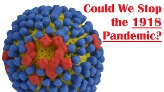 Could the 1918 Influenza Pandemic Happen Again [upl. by Enecnarf702]