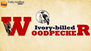 DAILY READING SERIES I Ivory billed Woodpecker [upl. by Micheline414]