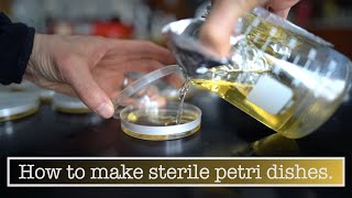 Making Petri Dishes [upl. by Elleiand]