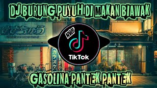 DJ BURUNG PUYUH DI MAKAN BIAWAK X GASOLINA X PANTEK PANTEK VIRAL TIK TOK FULL BASS [upl. by Bolen]