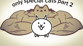 The battle cats but I can only use special cats part 2 [upl. by Hesketh813]