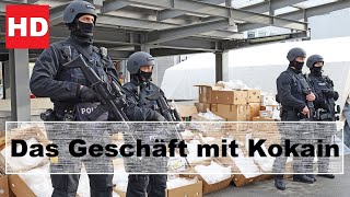 Die Killerdroge Kokain Einblicke in das blutige Business der Kartelle  Doku HD [upl. by Nylekoorb]