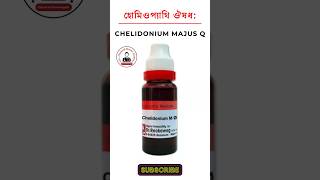 Chelidonium Majus homeopathic medicine চেলিডোনিয়াম হোমিওপ্যাথিক মেডিসিন হোমিও ঔষধ lycopodium 200 [upl. by Uol]