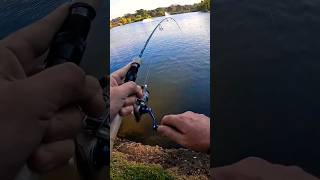 What is it  Ultralight Fishing ultralightfishing [upl. by Wind]