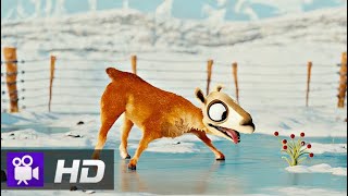 CGI Animated Short Film quotCaminandes 3 Llamigosquot by Blender  CGCollection [upl. by Llerej]