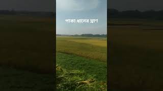 Beautiful Bangladesh [upl. by Redmer141]