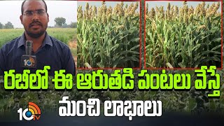 Good Profit In Dry Crops In Rabi Season  రబీలో ఈ ఆరుతడి పంటలు వేస్తే మంచి లాభాలు  Matti Manishi [upl. by Assirhc]