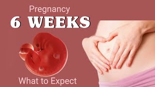 6 week pregnancy baby growthwhat to expect during week 6 of pregnancy6th week of pregnancy [upl. by Eilitan95]