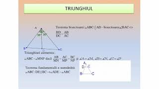 Linii importante in triunghi ECD Insp Bujor Viorica [upl. by Roselia]